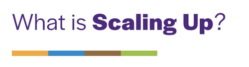 Scaling up line Scaling up line