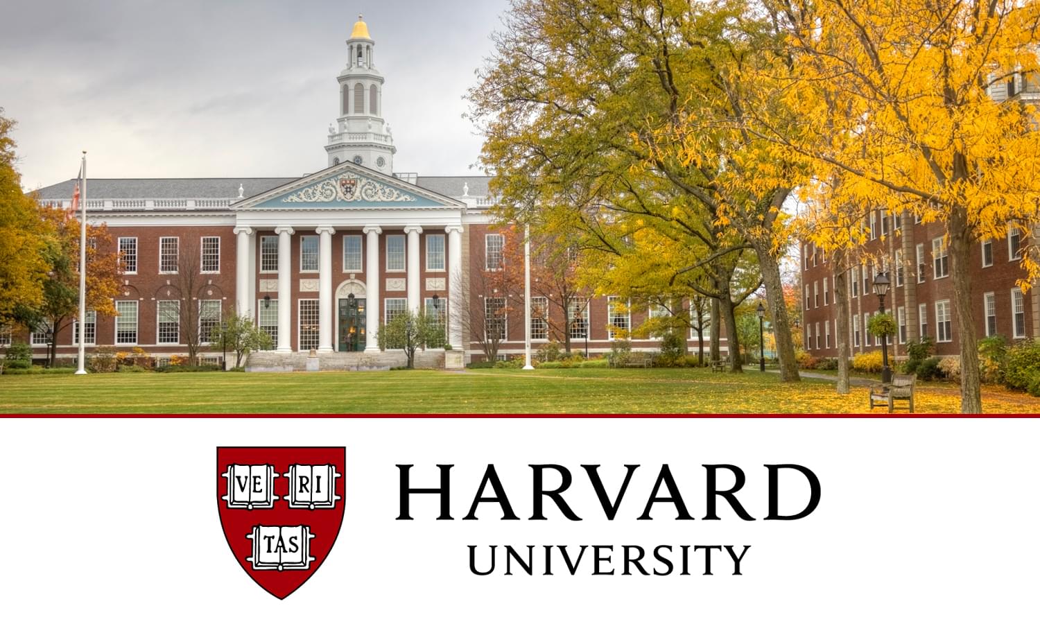 Harvard-Online-Course Harvard-Online-Course